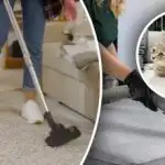 Não ficará um único vestígio: 7 passos para remover o