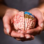 O que comer para ter clareza mental: os nutricionistas nomearam