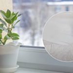 O resultado vai surpreendê-lo: uma receita para um remédio que