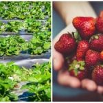 O último acorde do outono: acções simples que afectam as