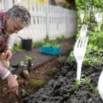Os vizinhos riram-se até verem o resultado: porque é que os garfos são necessários na horta Os vizinhos riram-se até verem o resultado: porque é que