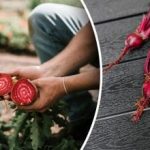 Os vizinhos vão rir-se: que plantas estragam a colheita da